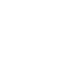 Logo STN